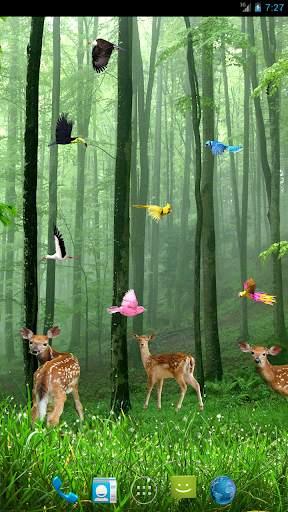 Rain Forest Live Wallpaper screenshot 2