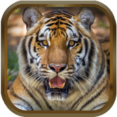 Free Animal Ringtones - Animal Sounds icon