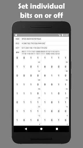 Programmer's calculator - BitCalculator screenshot 6