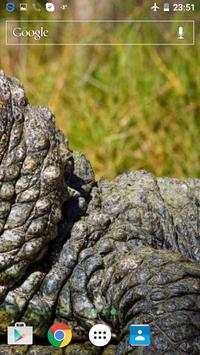 Reptile Live Wallpaper screenshot 7
