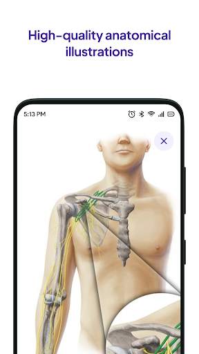 Daily Anatomy Flashcards स्क्रीनशॉट 5