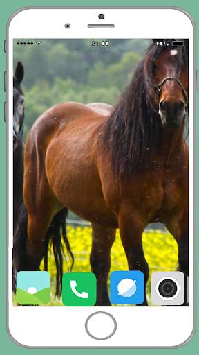 Horse Full HD Wallpaper screenshot 3