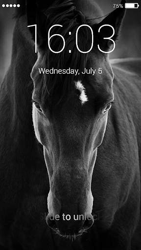 Horse Lock Screen 3 تصوير الشاشة