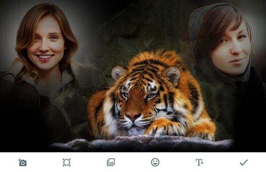 Tiger Photo Frames screenshot 1