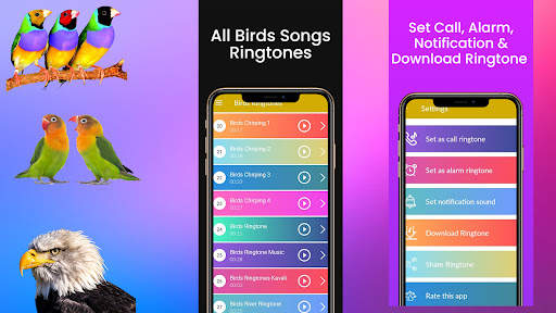 पक्षी रिंगटोन: पक्षी गीत स्क्रीनशॉट 13