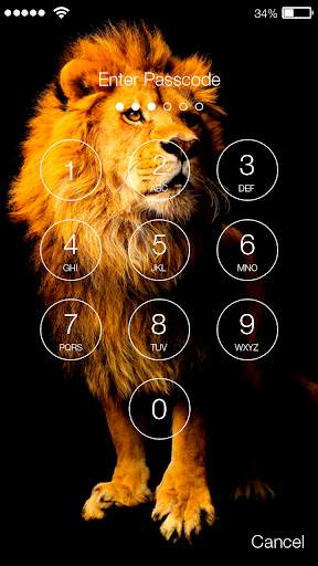 Africa Lion Wild Animal King Screen Lock screenshot 2
