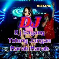 Dj Sayang Tolong Jangan Marah Marah Mp3 Offline logo