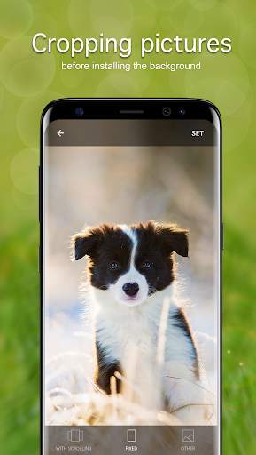 Puppy Wallpapers 4K screenshot 3