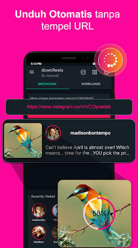 DownReels: Reels & Pengunduh Video untuk Instagram screenshot 6