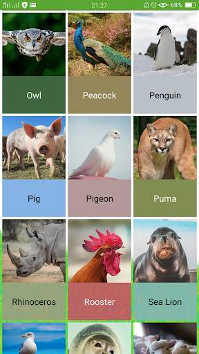 Animal Sounds screenshot 6