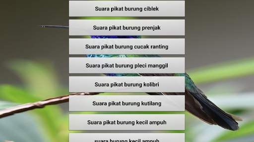 Suara pikat burung liar screenshot 6