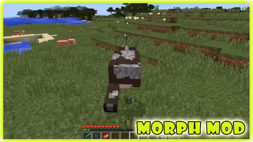 Morph Mod Minecraft 🐴 screenshot 3