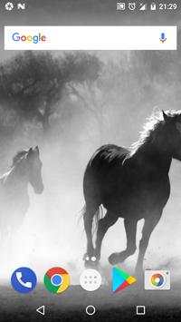 Horse Wallpaper HD - Horse Backgrounds screenshot 3