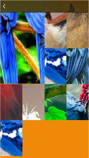 Free Bird Ringtones screenshot 5