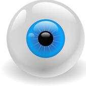 SPY CAM NS Browser 1.0
