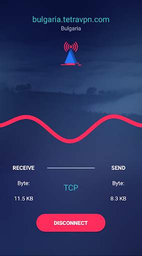Tetra VPN screenshot 4