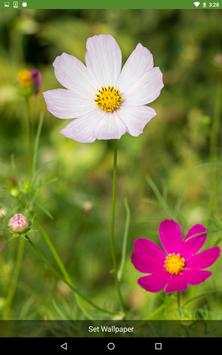 Flowers Wallpapers screenshot 6