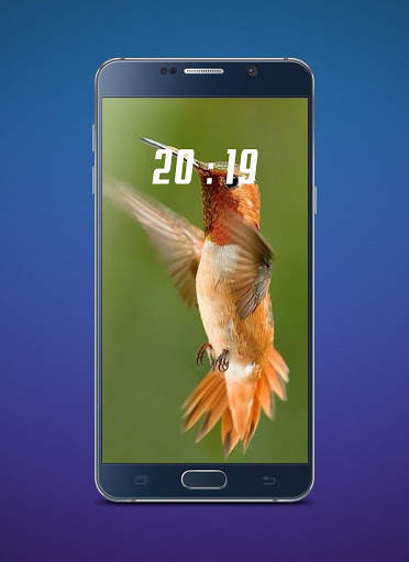 Hummingbird Wallpaper screenshot 1