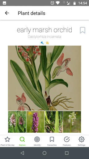 Plant Atlas offline - plant identification screenshot 2