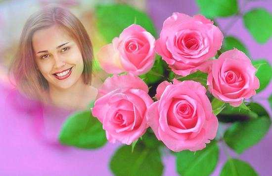 Pink Rose Photo Frames 3 تصوير الشاشة