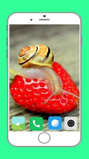 Snail Wallpaper Full HD screenshot 3