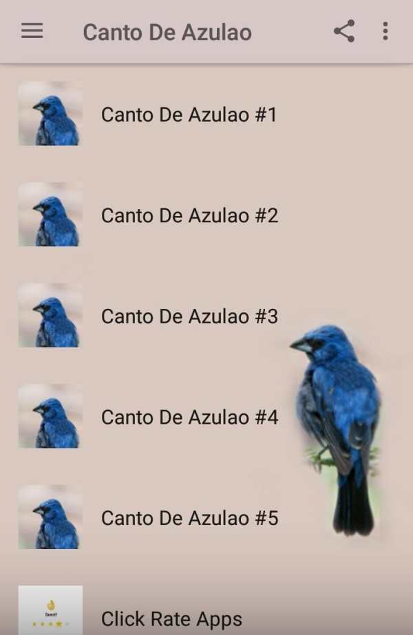 Canto De Azulao screenshot 2