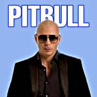 Pitbull All Songs logo