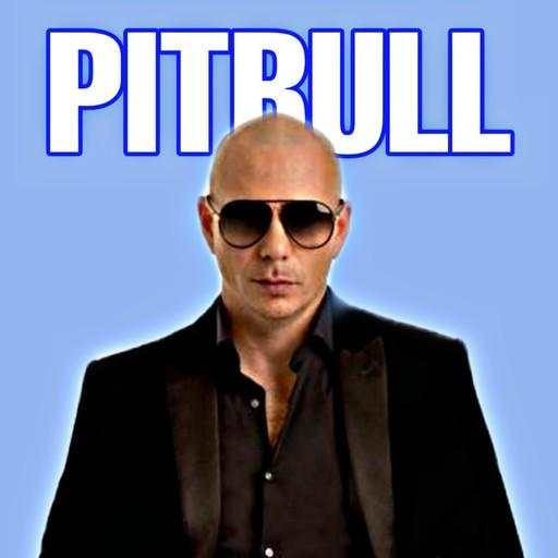 Pitbull All Songs screenshot 1