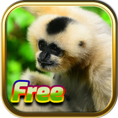 Free Animal Games icon
