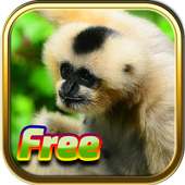 Free Animal Games logo