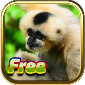 Free Animal Games 3.1.6