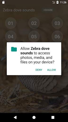 Zebra dove Sound скриншот 4