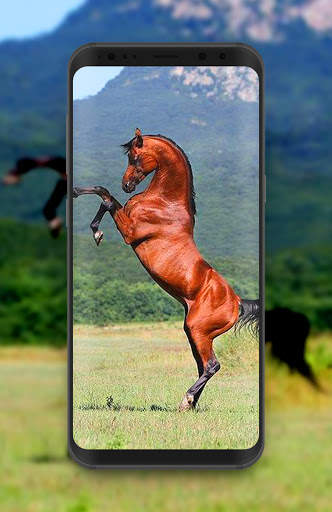 Horse Wallpaper HD Offline screenshot 2