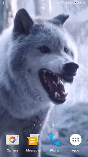 Wolf Video Live Wallpaper screenshot 3