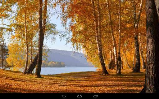 Autumn Wallpaper screenshot 17