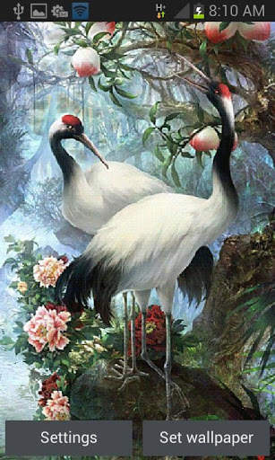 White Birds Live Wallpaper screenshot 1