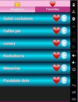Birds Sounds Ringtones screenshot 4