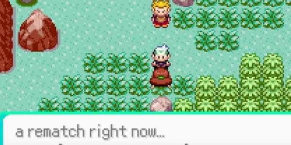 New Pokemon Emerald Tips screenshot 3
