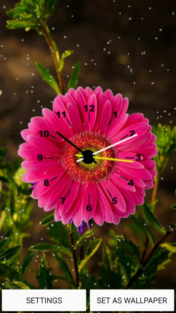 Flowers Clock Live Wallpaper screenshot 2