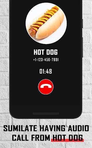 Hot Dog fake video call - chat screenshot 2