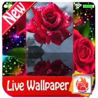 Red rose Live Wallpaper 2019 free Red rose LWP logo