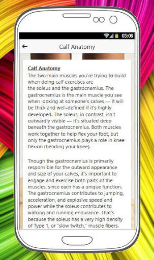 CALF WORKOUT screenshot 3