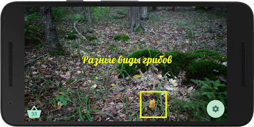 Грибник 2 - попробуй найти грибы скриншот 3