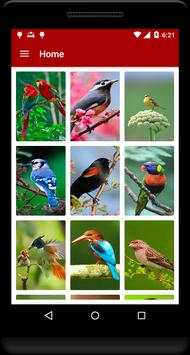 Birds Wallpaper screenshot 1