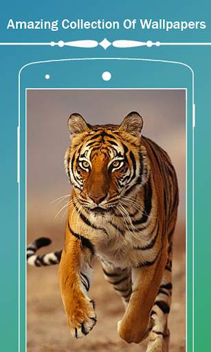 Tiger Hd Wallpapers screenshot 1