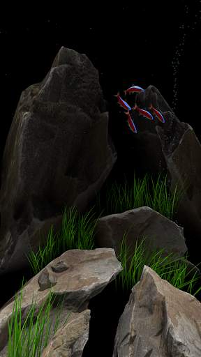 NANO AQUARIUM Free screenshot 2