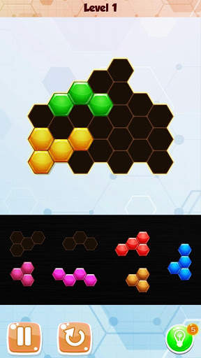 King Hexagon Block Puzzle screenshot 1
