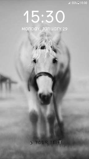 Horses Pattern Lock Screen 🐴 4 تصوير الشاشة