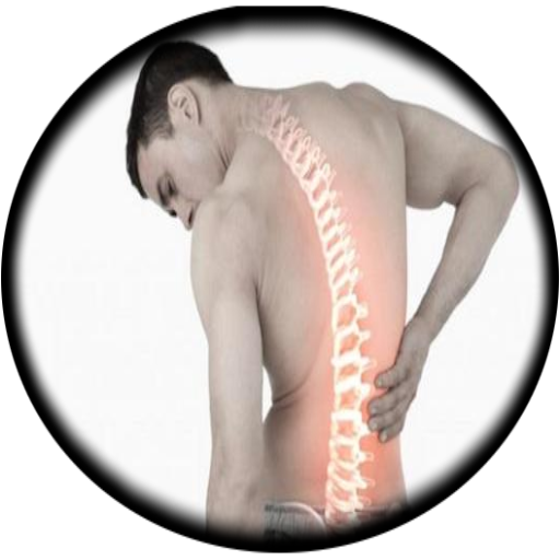 Back Pain Exercises 2 icon