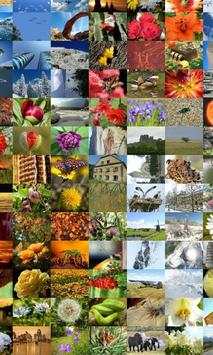 ZaBa Photo Mosaic Lite screenshot 4